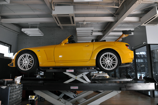 151101 kuma 1 DSC_9002.jpg